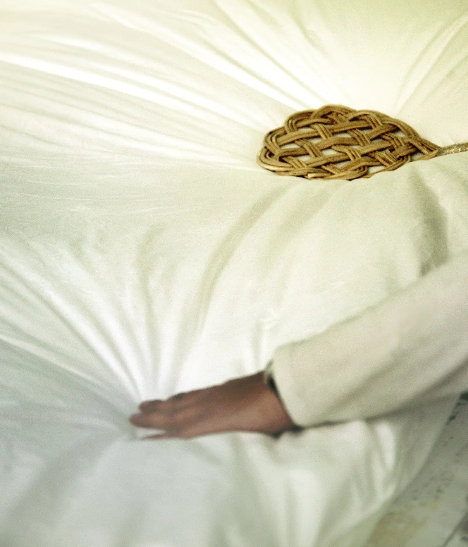 Imperial 90% goose down eiderdown-4