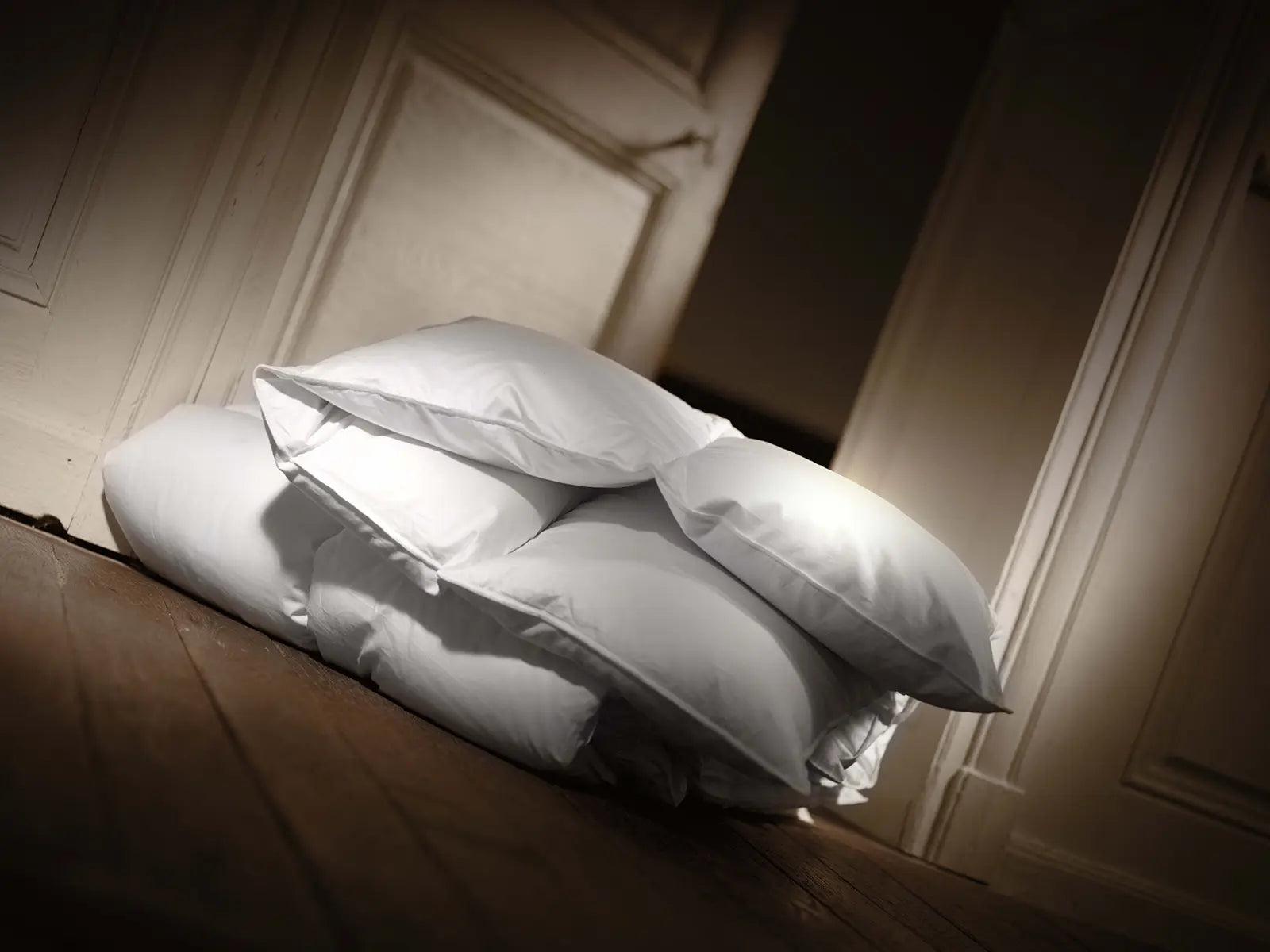 Warm duvet goose down Moldova Winter 90%-1