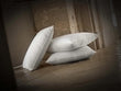 Oreiller moelleux duvet de canard Dumas Paris