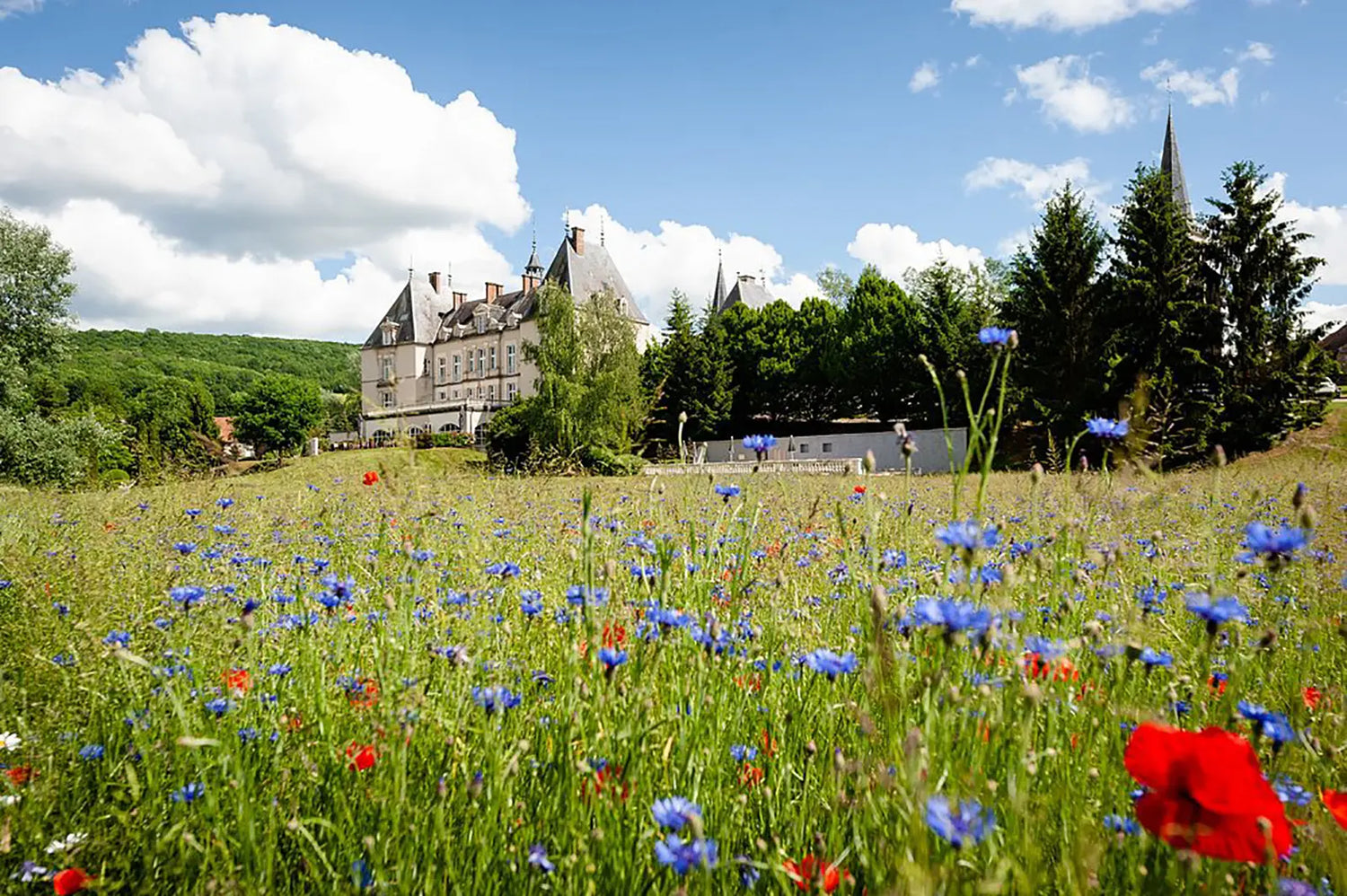 Château Sainte Sabine