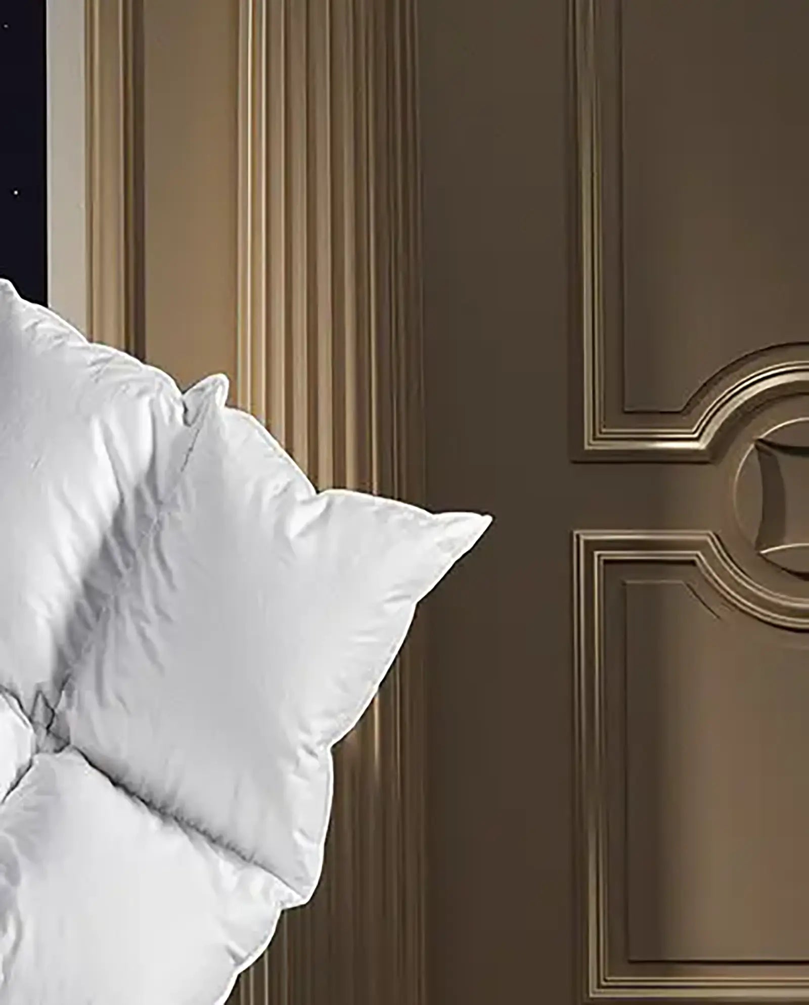 Pomeranian goose down duvet Schwerin - Millésimes 2022-2