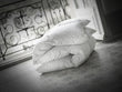 Couette duvet eider Dumas Paris